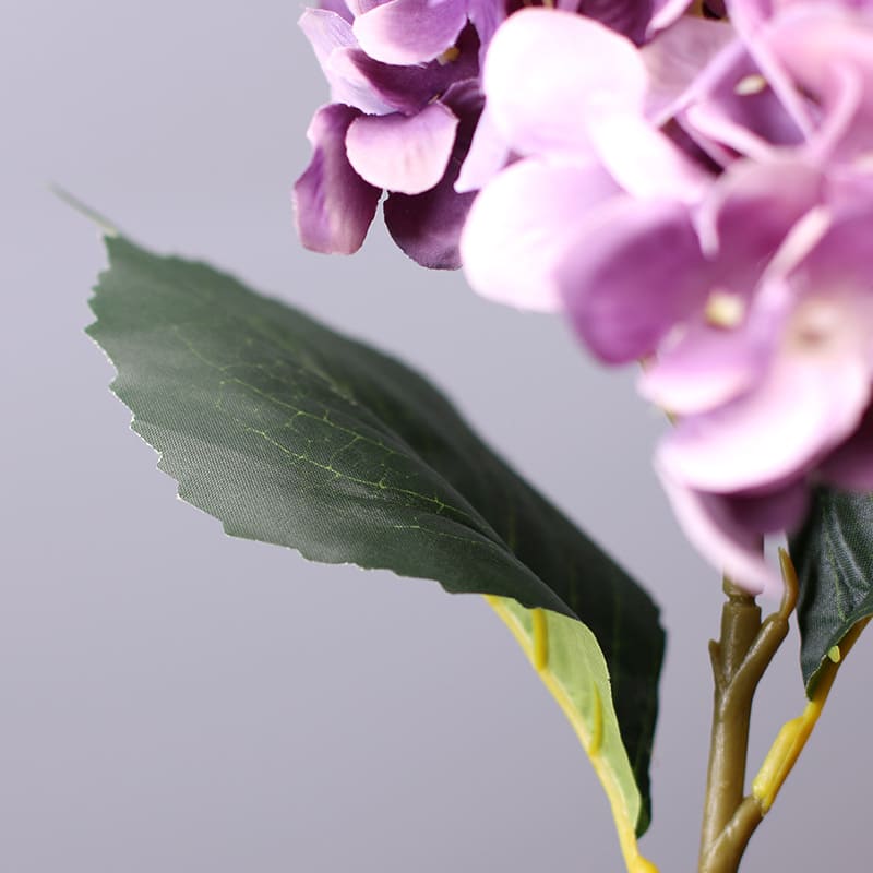 Hortensia Artificiel