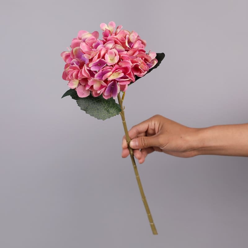 Hortensia Artificiel