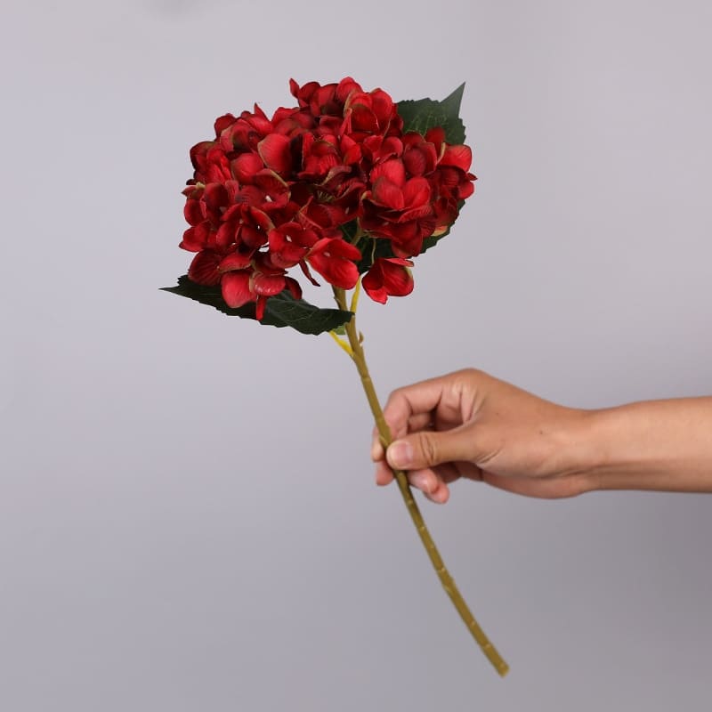 Hortensia Artificiel