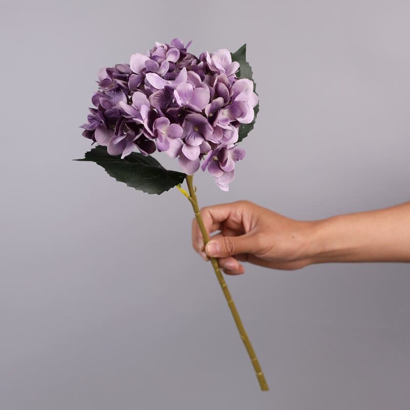 Hortensia Artificiel