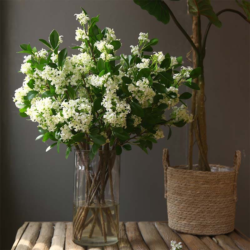Jasmin Artificiel Blanc