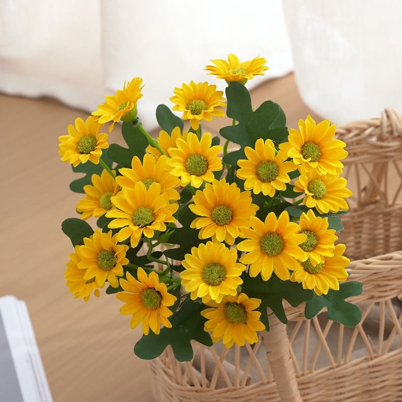 Marguerites Artificielles