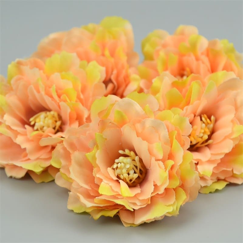 Mini Œillets Fleurs