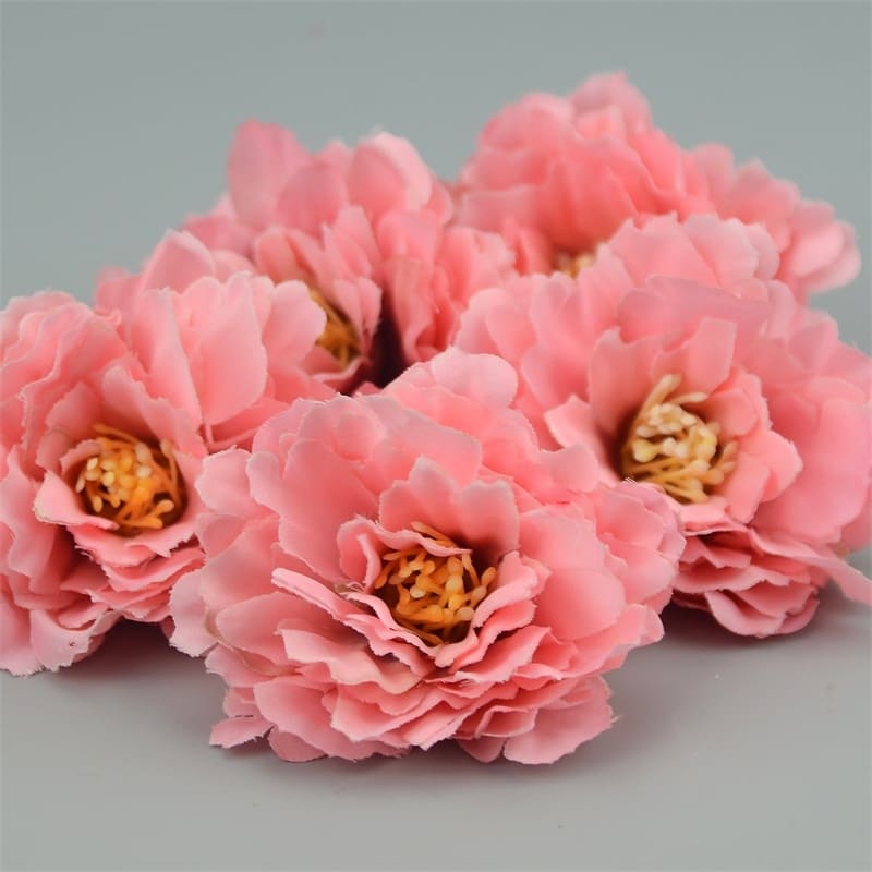 Mini Œillets Fleurs