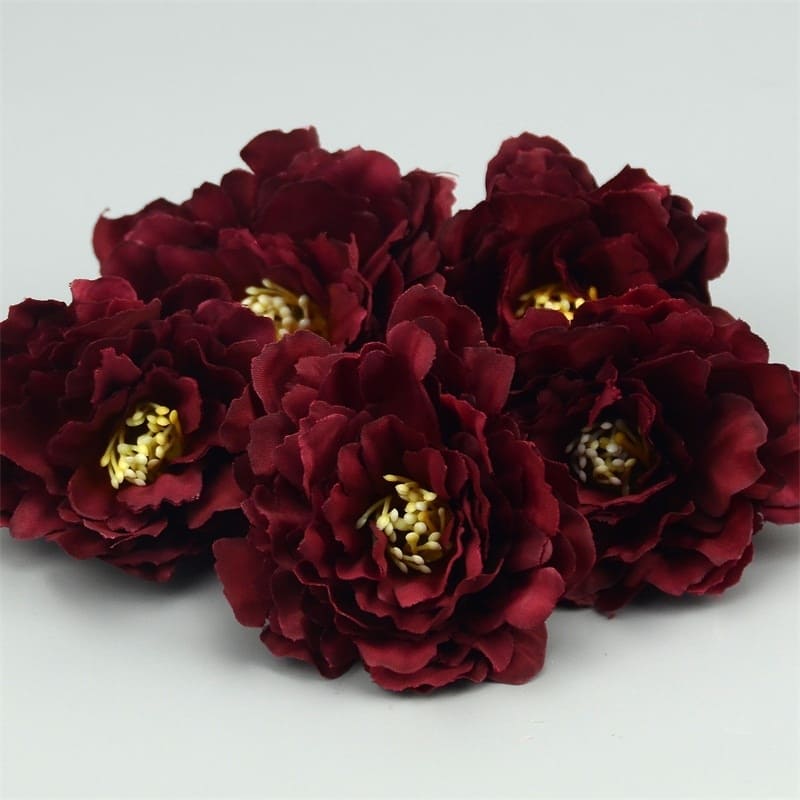 Mini Œillets Fleurs