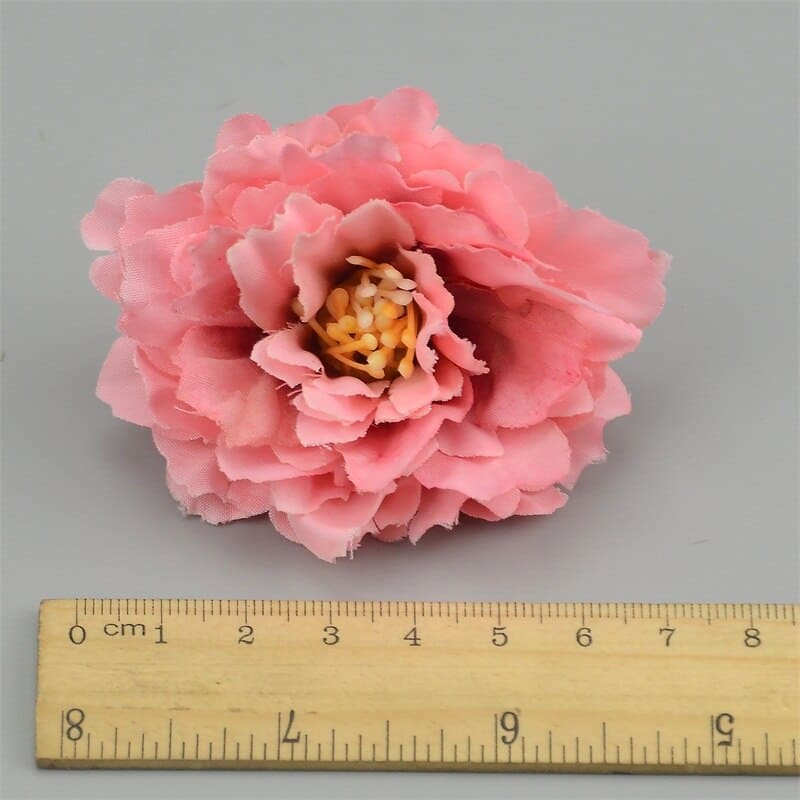 Mini Œillets Fleurs