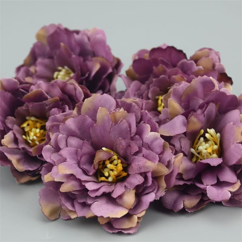 Mini Œillets Fleurs