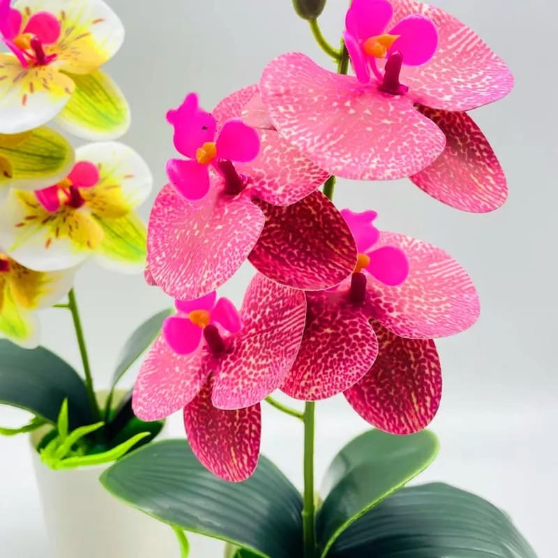 Orchidée Artificielle Luxe à Prix Abordable