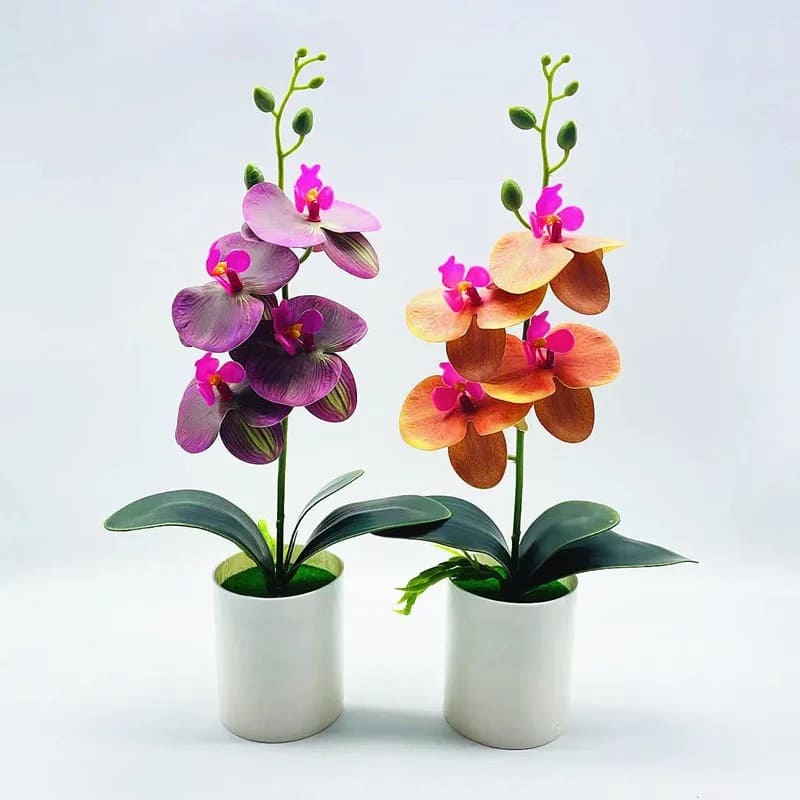 Orchidée Artificielle Luxe à Prix Abordable
