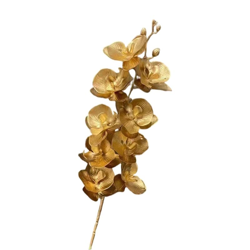 Orchidée Dorée