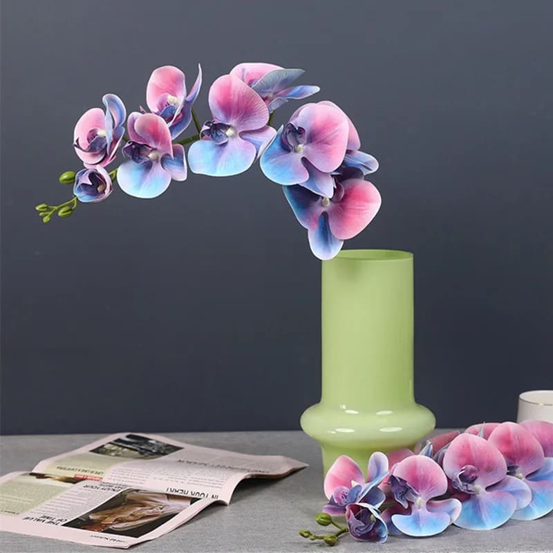Orchidée Originale