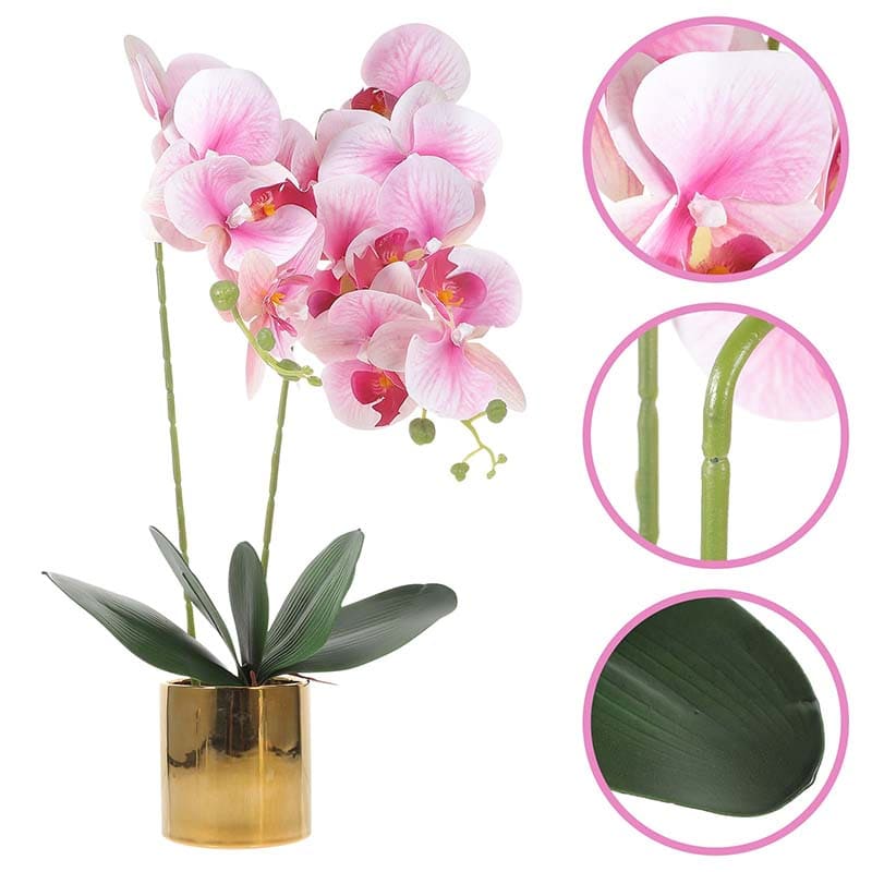 Orchidée Décorative en Pot