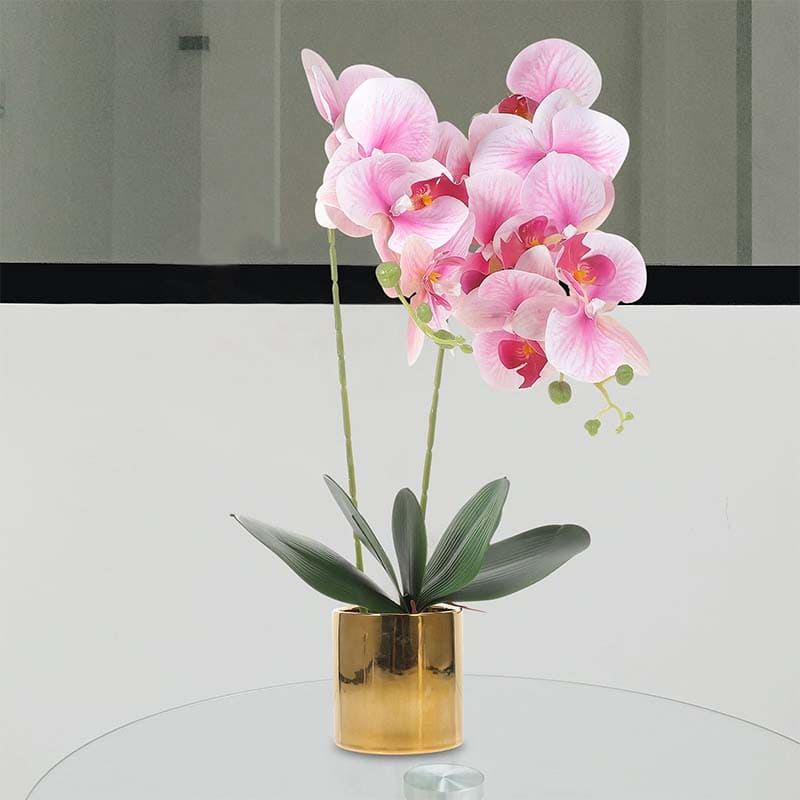 Orchidée Décorative en Pot