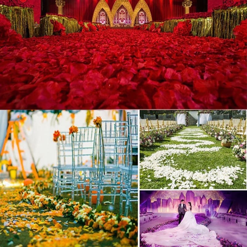 300 Pétales de Roses pour Décoration & Bastille