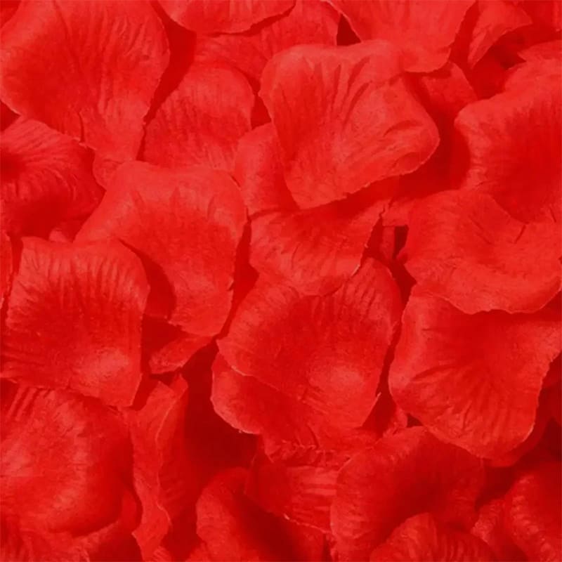 300 Pétales de Roses pour Décoration & Bastille