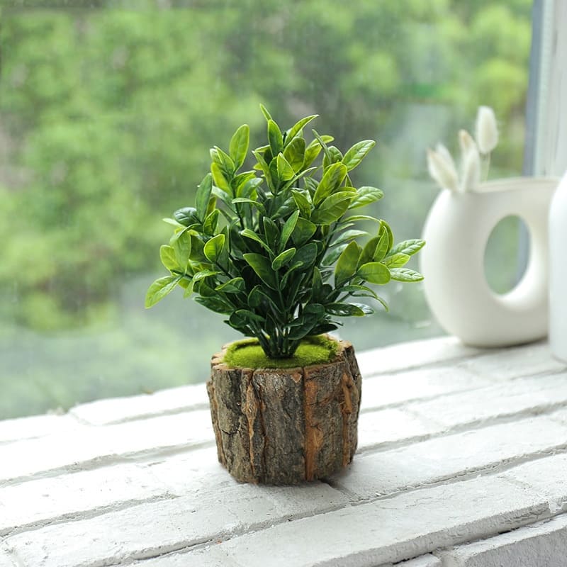 Fausse Plante Miniature en Pot