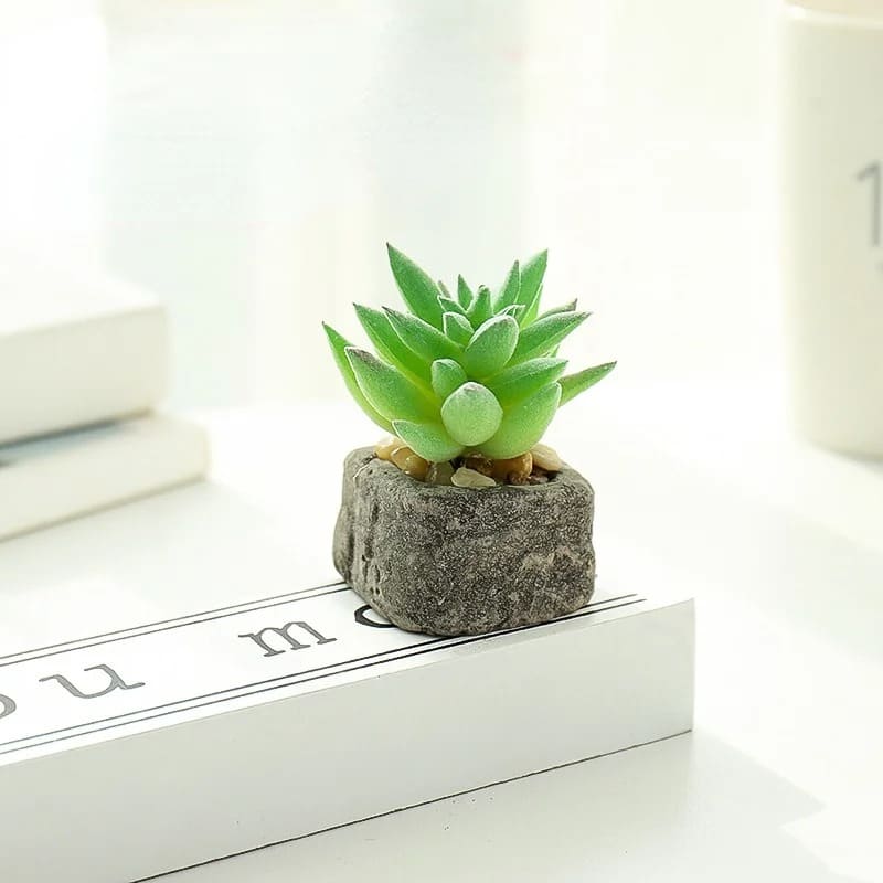 Plante Grasse Artificielle Compacte