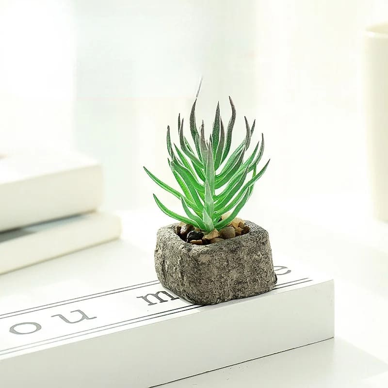 Plante Grasse Artificielle Compacte