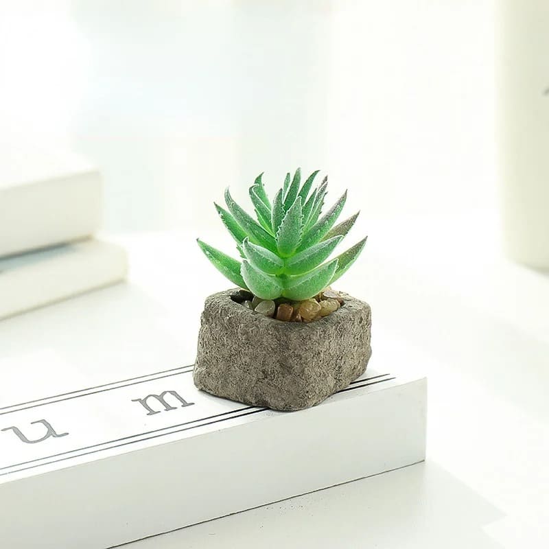 Plante Grasse Artificielle Compacte