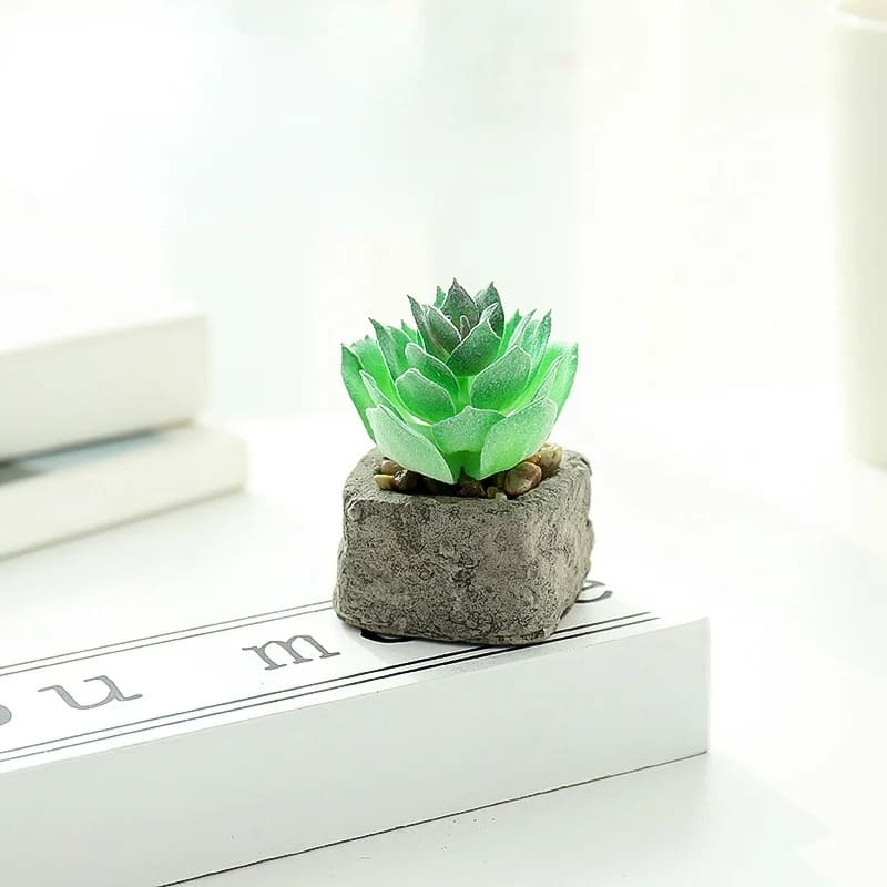 Plante Grasse Artificielle Compacte