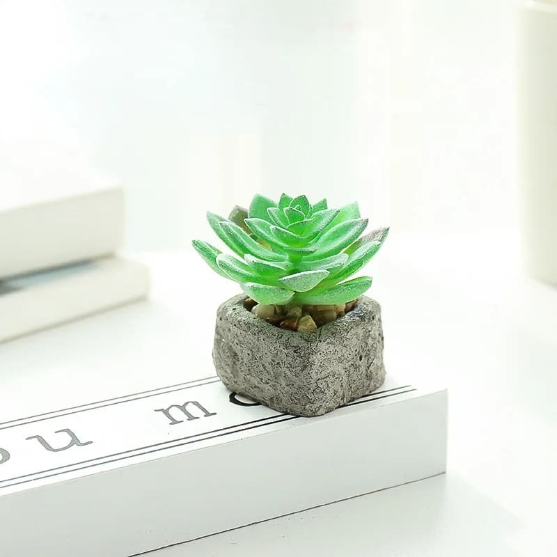 Plante Grasse Artificielle Compacte