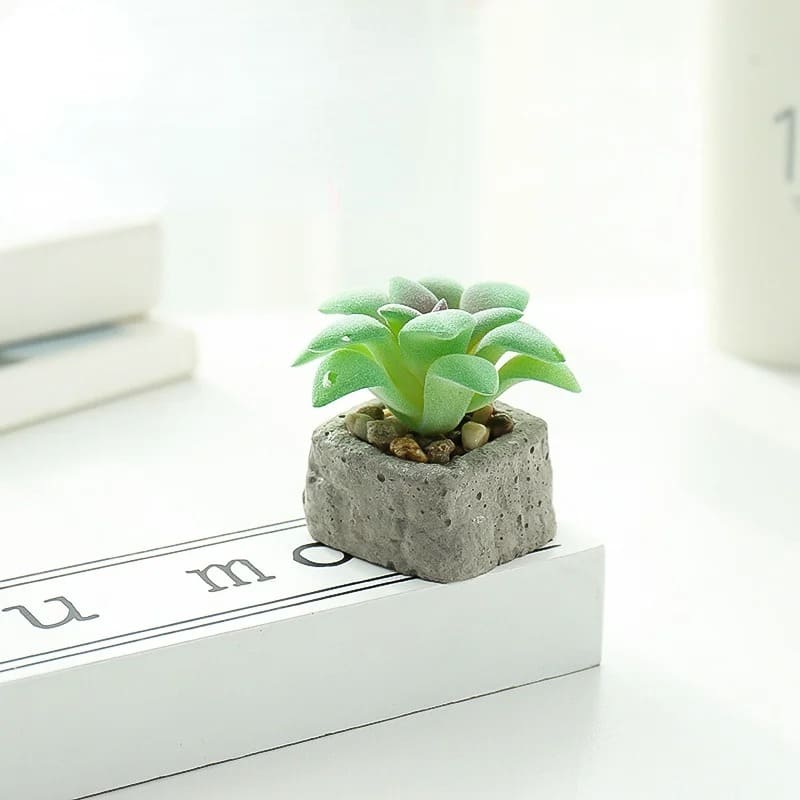 Plante Grasse Artificielle Compacte