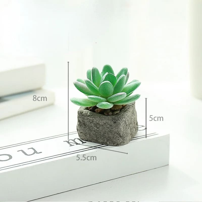 Plante Grasse Artificielle Compacte