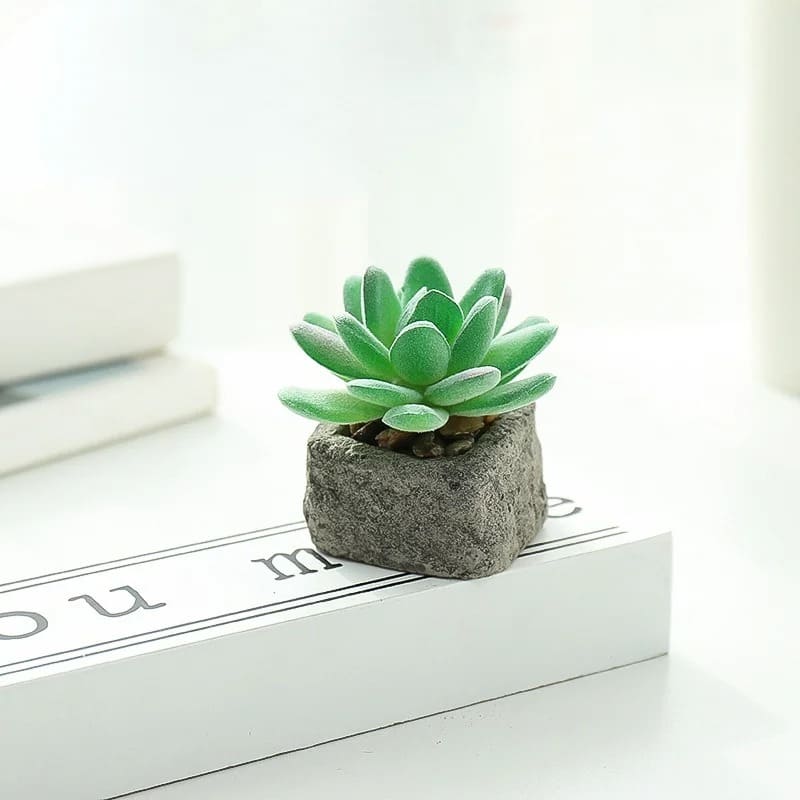 Plante Grasse Artificielle Compacte