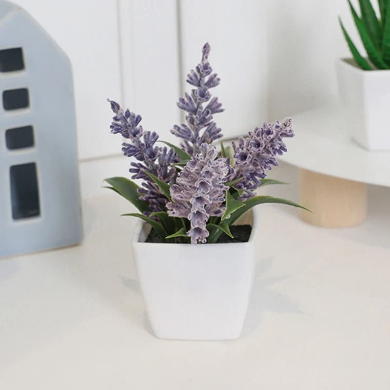 Fleur de Cerisier