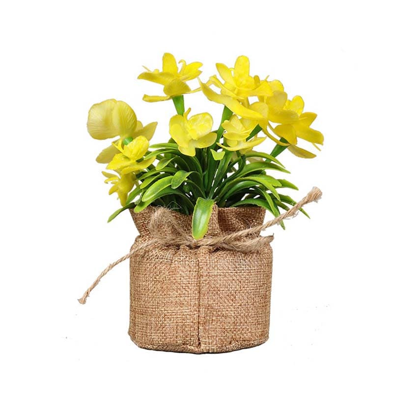 Fleurs en Pot : Petites Fleurs Décoratives