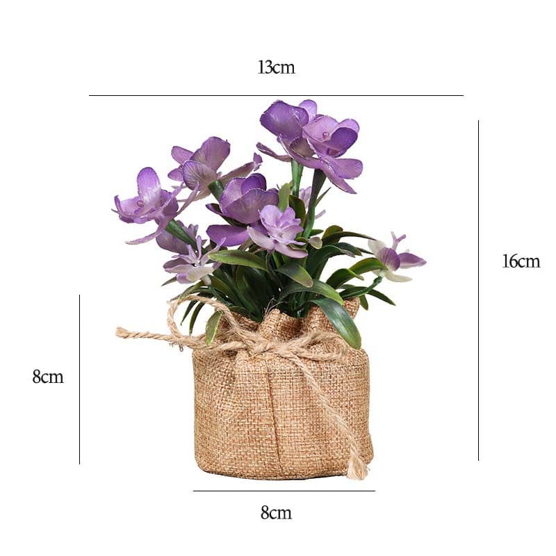 Fleurs en Pot : Petites Fleurs Décoratives