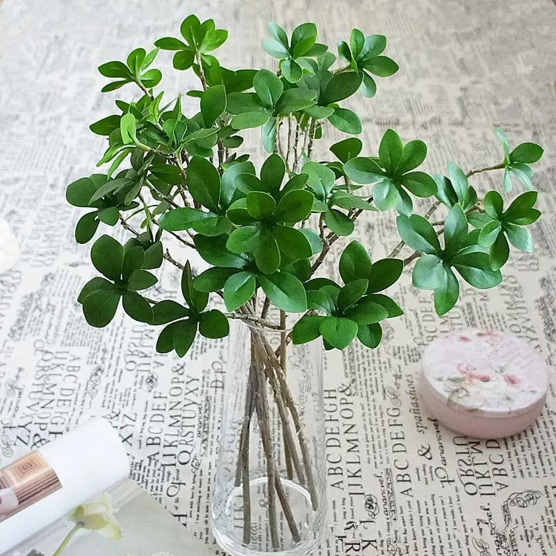 Pittosporum Artificiel
