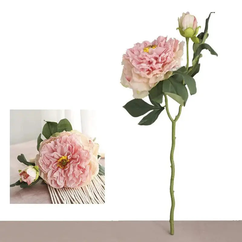 Pivoine Vintage