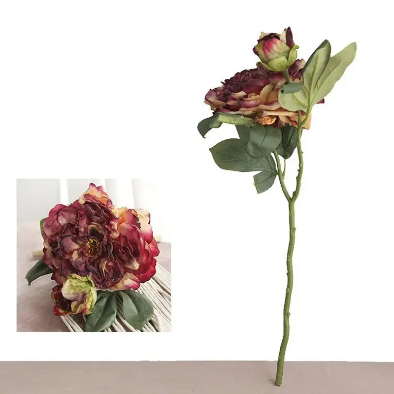Pivoine Vintage