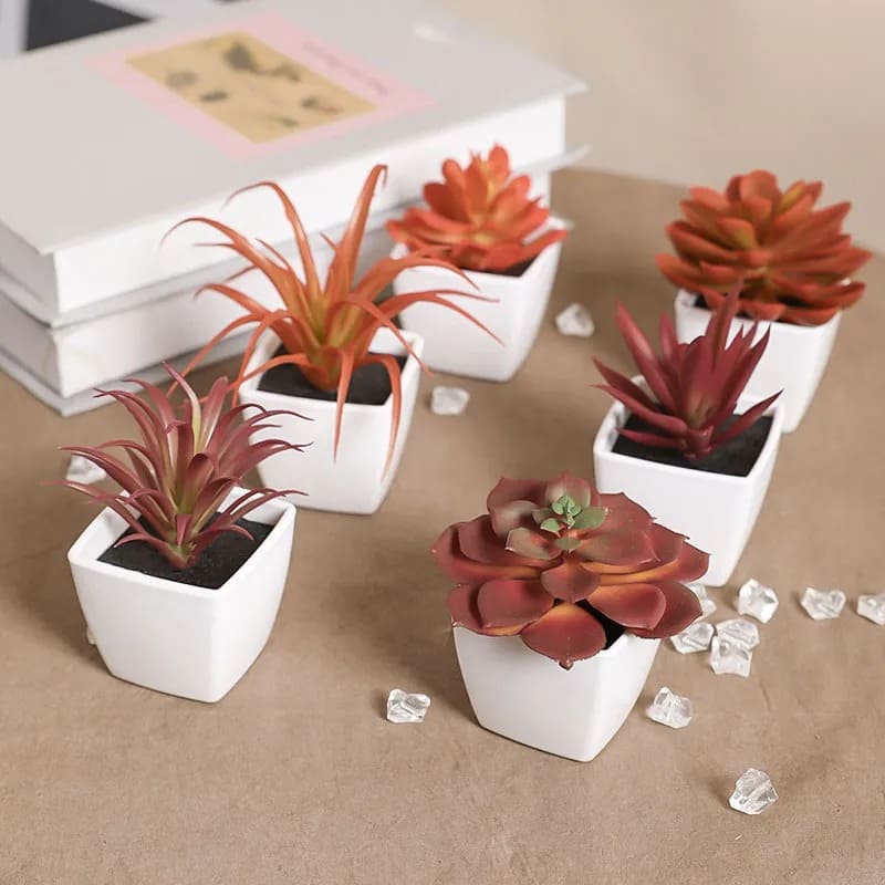 Succulente Plante Artificielle en Pot