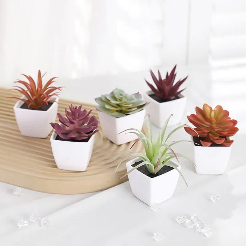 Succulente Plante Artificielle en Pot