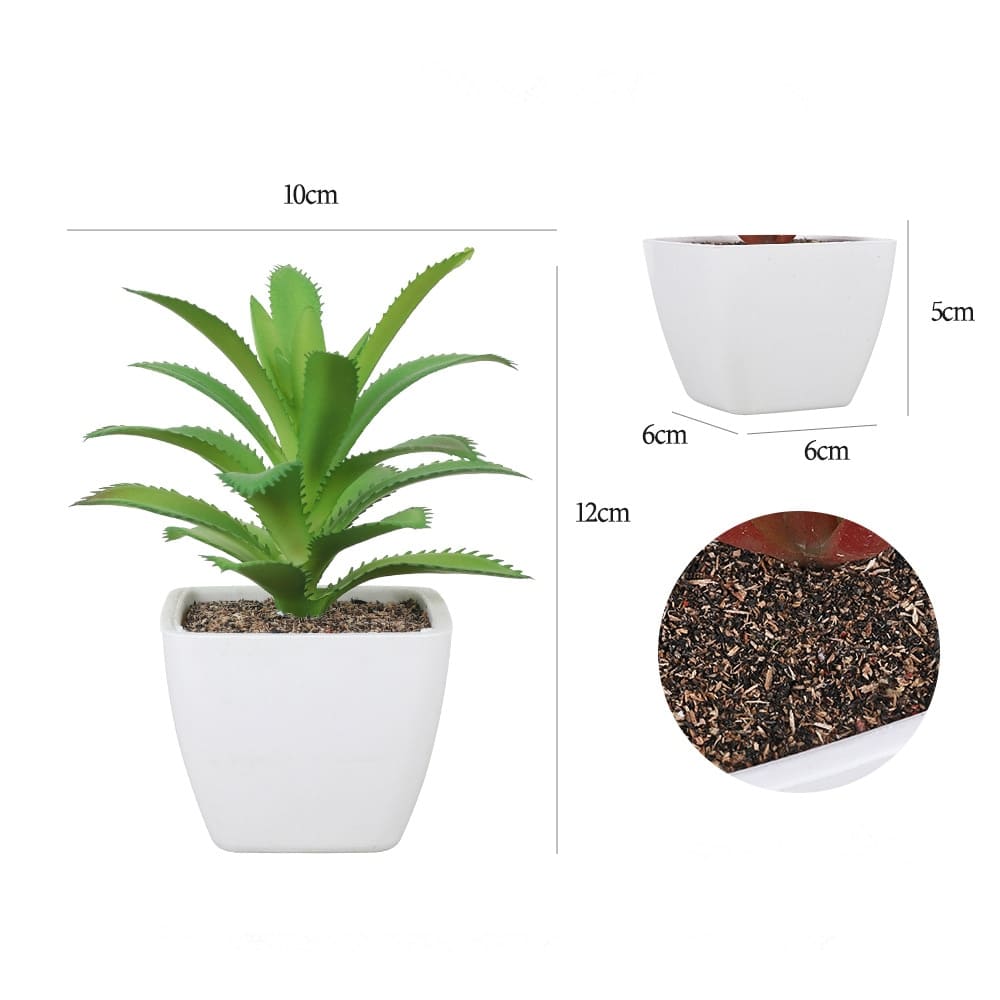 Succulentes Artificielles de Qualité Premium