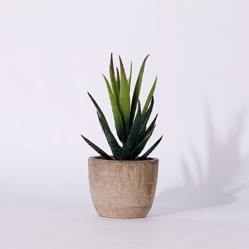 Plantes Grasses Artificielles Déco pour Maison
