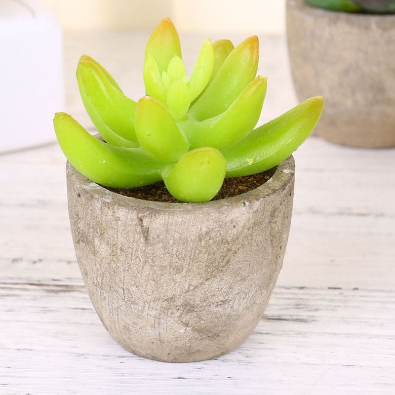 Plantes Grasses Artificielles Déco pour Maison