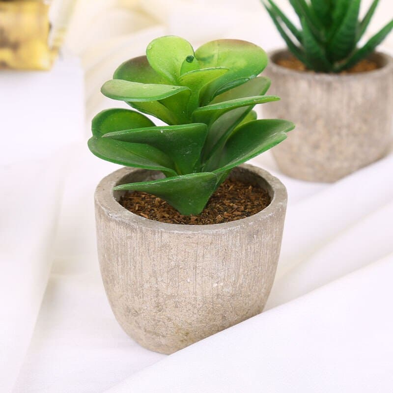 Plantes Grasses Artificielles Déco pour Maison