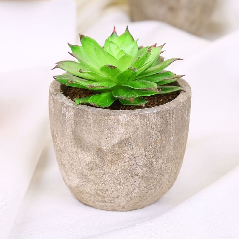 Plantes Grasses Artificielles Déco pour Maison