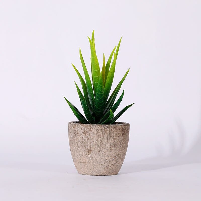 Plantes Grasses Artificielles Déco pour Maison