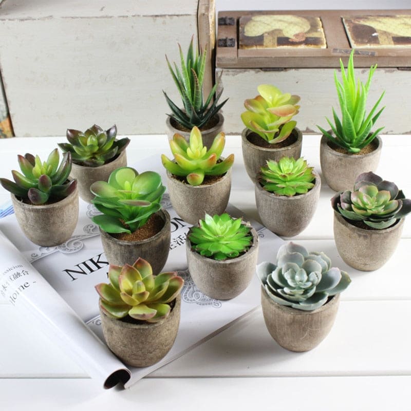 Plantes Grasses Artificielles Déco pour Maison