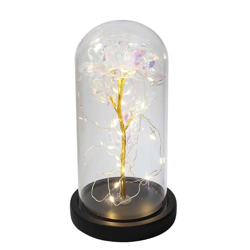 *Sous Cloche Rose Galaxy*