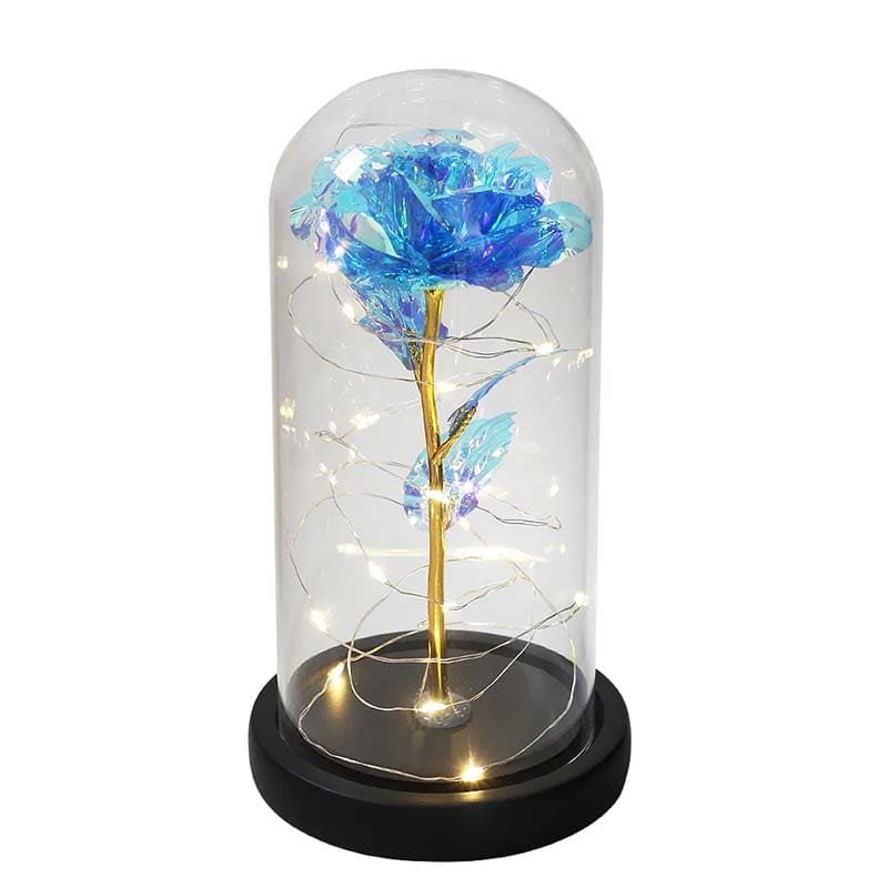 *Sous Cloche Rose Galaxy*