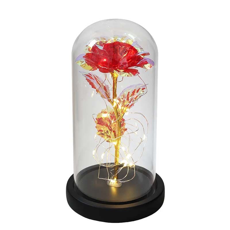 *Sous Cloche Rose Galaxy*