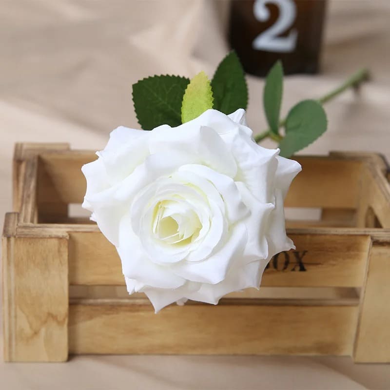 Rose Pas Cher