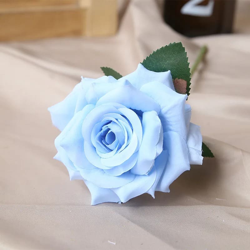 Rose Pas Cher