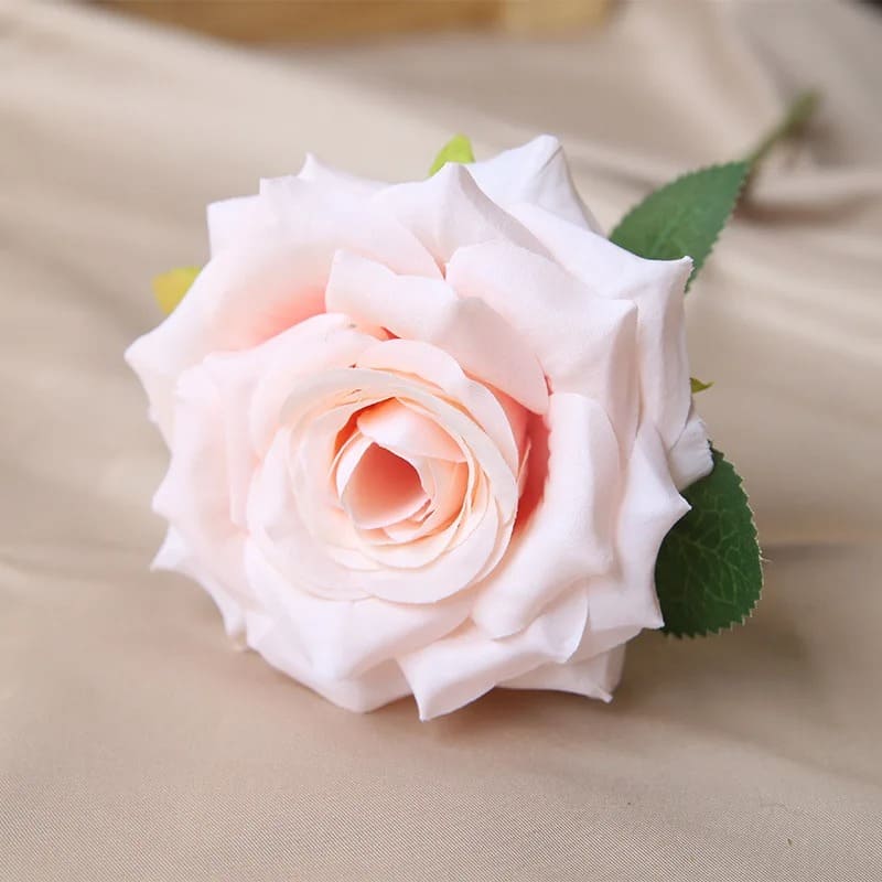 Rose Pas Cher