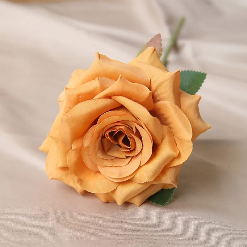 Rose Pas Cher